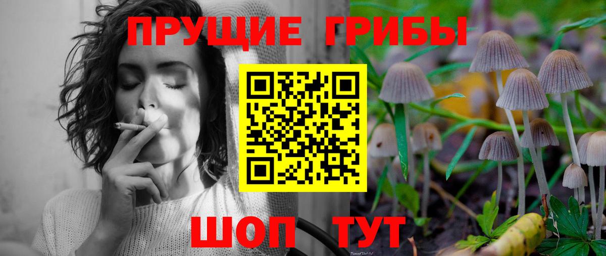 Асино  Галлюциногенные грибы ЛСД  Вход с VPN  Псилоцибиновые грибы MAGIC MUSHROOMS 