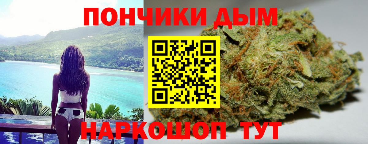 Конопля Bruce Banner  Конопля гибрид  Вход с VPN  Конопля конопля  Асино  Бошки Шишки план 